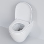 Сиденье для унитаза Ambassador Queen 112T20001 Белое глянцевое с Микролифтом