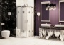 Душевое ограждение Ambassador Royal 18015106