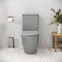 Унитаз компакт Grossman Color GR-4480GLMS светло серый матовый