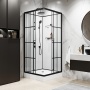 Душевая кабина Niagara Standart ST100/15QL/KL/BKT (100х100х225) низкий поддон(15см),черный,стекло прозрачное,3 места