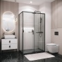 Душевое ограждение Grossman Style 100.K33.05.110.21.00-200.K33.05.100.21.00 (110х100х195) раздвижная,черный матовый,стекло прозрачное,2 места