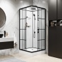 Душевая кабина Niagara Standart ST100/15QR/KL/BKT (100х100х225) низкий поддон(15см),черный,стекло прозрачное,3 места