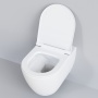 Унитаз Ambassador Queen 113T20101R (570*360*400) БЕЛЫЙ МАТОВЫЙ подвесной БЕЗОБОДКОВЫЙ, 1 место