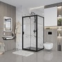 Душевое ограждение Niagara Nova NG-83-11AB-A100B (110х100х195) прямоугольник,черный,дверь распашная,стекло прозрачное,2 места